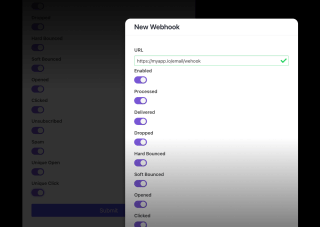 A new webbook form features fields for URL, Enabled, Processed, Delivered, and Delivered options, with checkboxes for Soft Bounced and Unsubscribed options. A submit button is visible at the bottom.