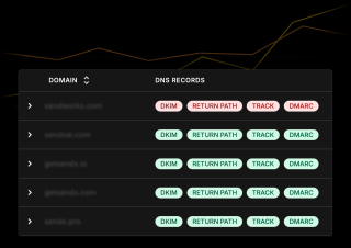 A table displays DNS records for four domains, organized by color and formatted with clear labels.