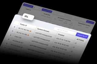 Two computer screens display a table with public IP addresses, system domain information, and actions, with a purple header and footer.