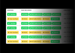 A table displays verified and unauthorized DNS records, with a row for July 21st and various entries.